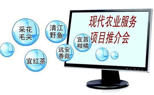 互聯網+農產品 營銷新模式助推農業現代化