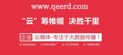 為何八成企業(yè)未選擇專業(yè)建站服務終陷困局？——軟件應用服務背后的深度反思